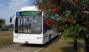 ecobus ecobus