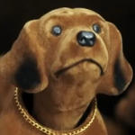perrito chino que dice siempre que si