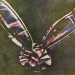 Primera Foto a Color-Tartan_Ribbon