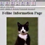 cats on 1995