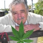 uruguay-marihuana